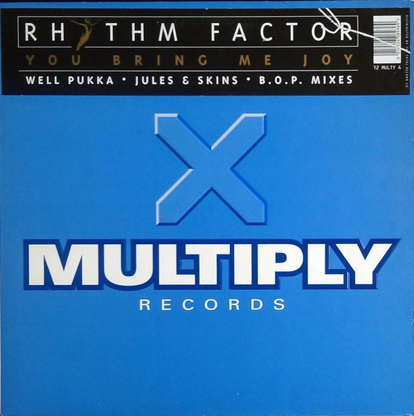 Rhythm Factor - You Bring Me Joy - Used Vinyl Record 12"