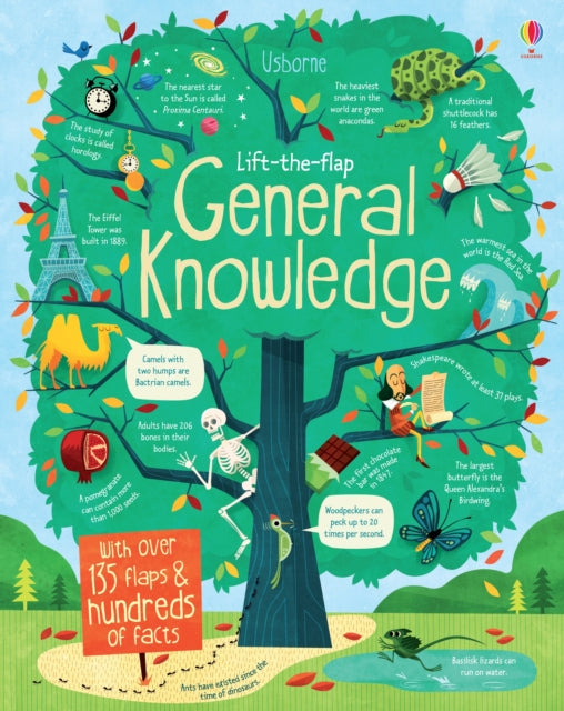 James MacLaine - Lift-the-Flap General Knowledge - Board book