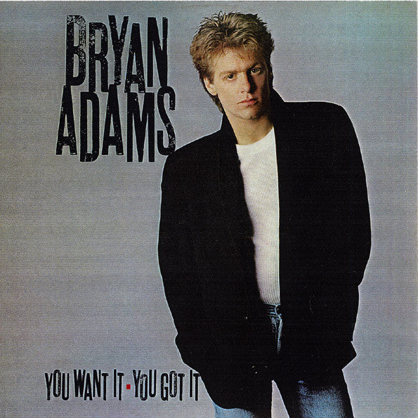 Bryan Adams - You Want It, You Got It - Used Vinyl Record