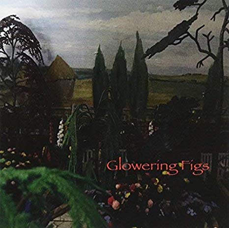 Glowering Figs - CD