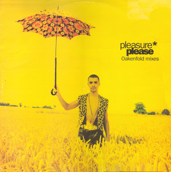 Pleasure - Please (Oakenfold Mixes) - Used Vinyl Record 12"