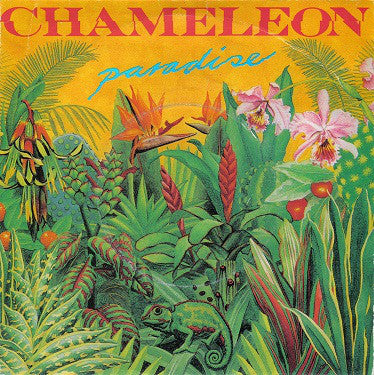 Chameleon - Paradise - Used Vinyl Record 7"