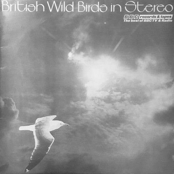 John F. Burton - British Wild Birds In Stereo - Used Vinyl Record