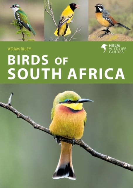 Adam Riley - Birds of South Africa - New Paperback