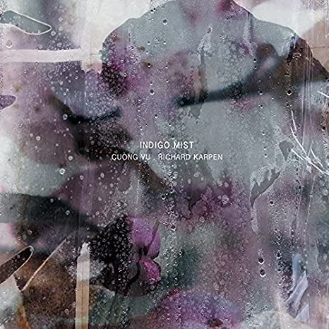 INDIGO MIST - THAT THE DAYS GO BY AND NEVER COME AGAIN - CD