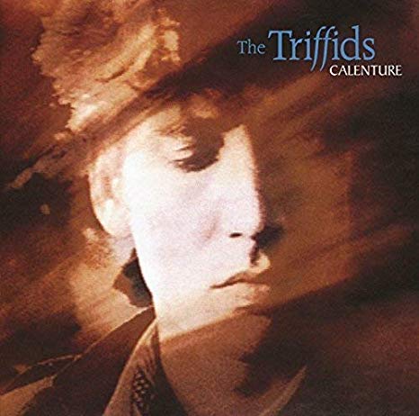 Triffids - Calenture - CD