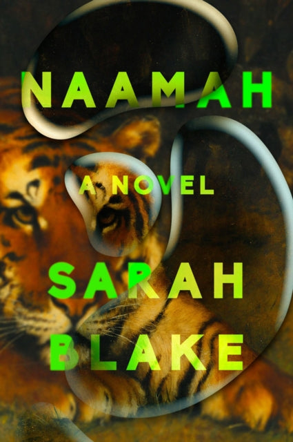 Sarah Blake - Naamah : A Novel - Hardback
