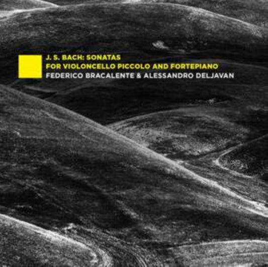Federico Bracalente - J.S. Bach: Sonatas for Violoncello Piccolo and For