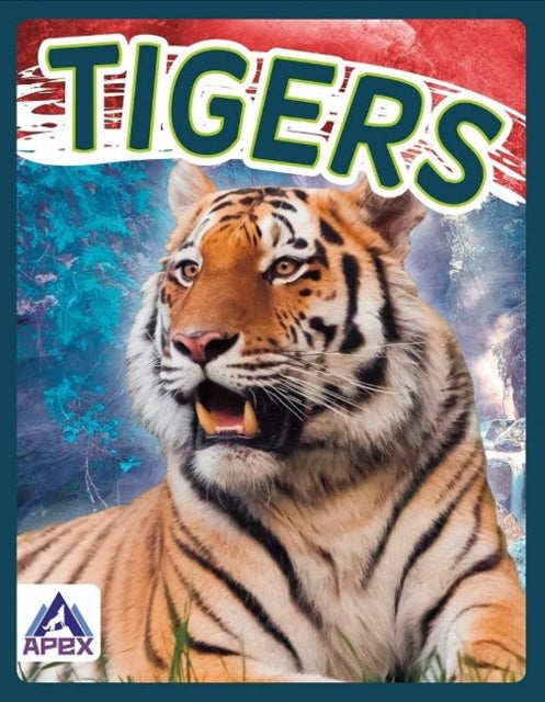 Sophie Geister-Jones - Wild Cats: Tigers - New Paperback