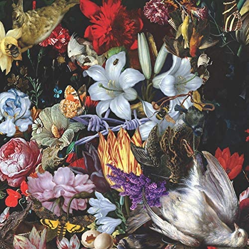 NIGHTINGALES WITH - PERISH THE THOUGHT - Vinyl Record VL