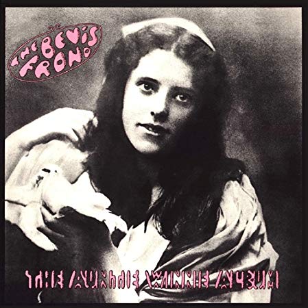 Bevis Frond - Auntie Winnie Album - CD
