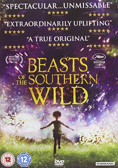 Beasts of the Southern Wild - DVD