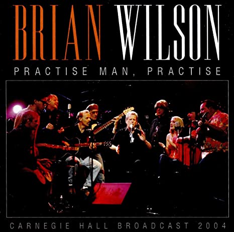 Brian Wilson - Practise Man Practise - CD