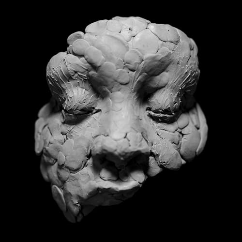 Joy Oladokun - OBSERVATIONS FROM A CROWDED ROOM - New Vinyl Record