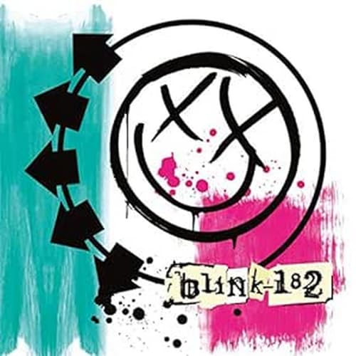Blink-182 - New Vinyl Record