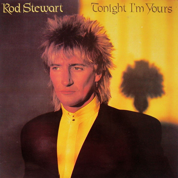 Rod Stewart - Tonight I'm Yours - Used Vinyl Record