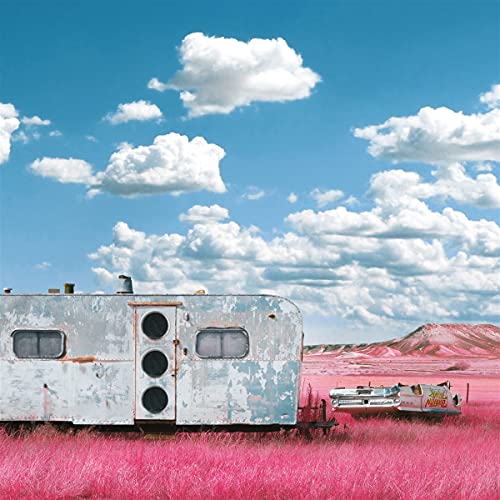 BARTON THINK - MY LAST RECORD - Vinyl Record VINYL