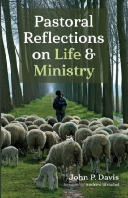 Davis - Pastoral Reflections on Life and Ministry - New paperback or s