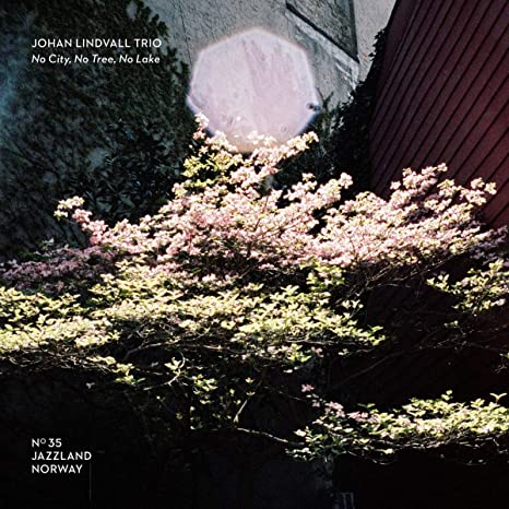 LINDVALL JOHAN/TRIO - NO CITY  NO TREE  NO LAKE - CD