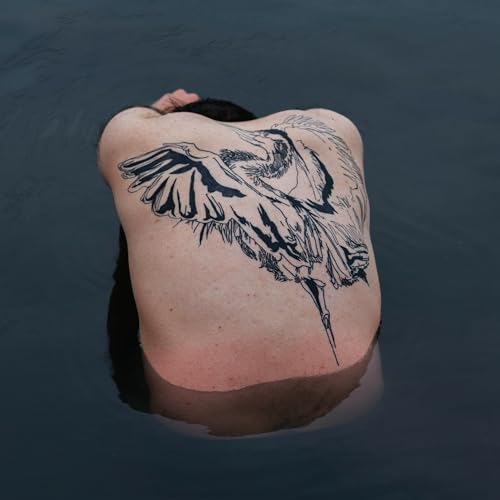JODI - BLUE HERON - New cd