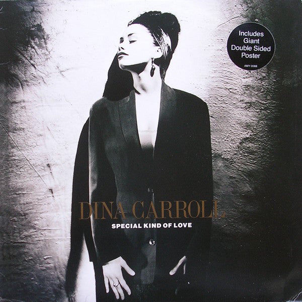 Dina Carroll - Special Kind Of Love - Used Vinyl Record 12"