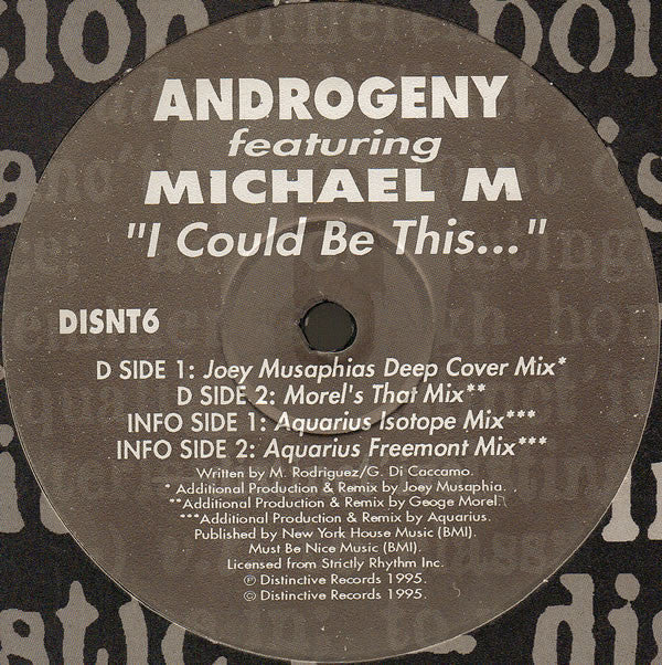 Androgeny - I Could Be This ... - Used Vinyl Record 12"