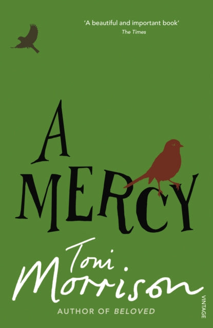 Toni Morrison - A Mercy - Paperback