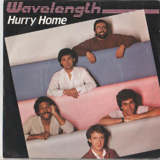 Wavelength - Hurry Home - Used Vinyl Record 7"