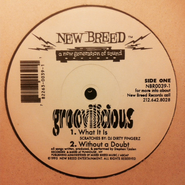 Groovilicious - Used Vinyl Record 12"