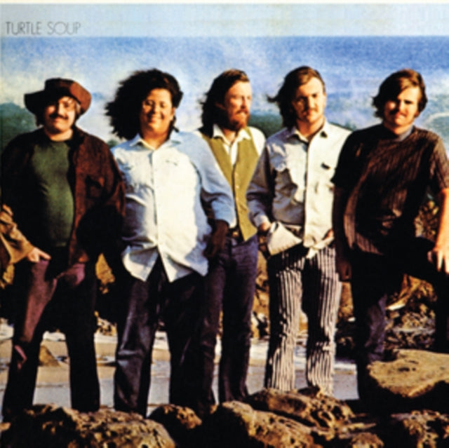 TURTLES - TURTLE SOUP - Vinyl Record