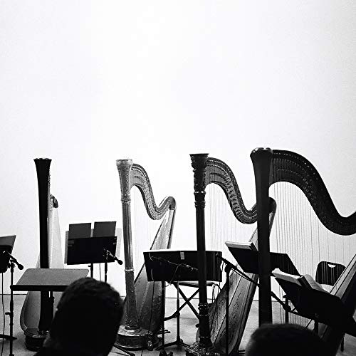 BEHAVIOR - SPIRITS & EMBELLISHMENTS - New Vinyl Record 12" RECORD