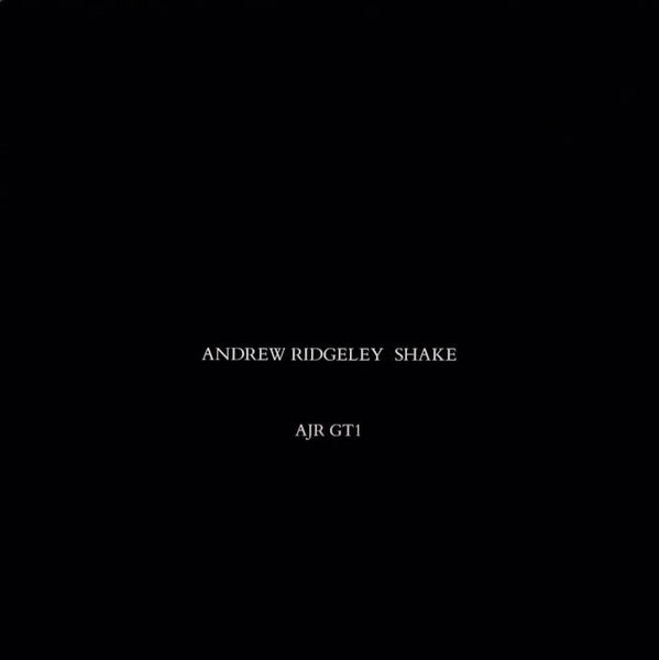 Andrew Ridgeley - Shake - Used Vinyl Record 12"