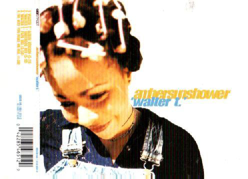 Ambersunshower - Walter T. - Used CD