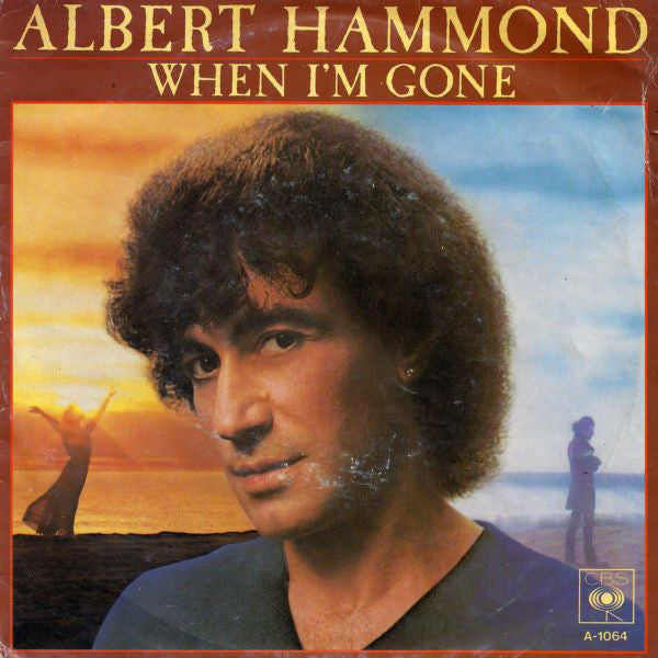 Albert Hammond - When I'm Gone - Used Vinyl Record 7"