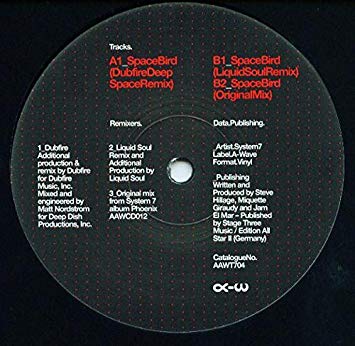 System 7 - Space Bird - Vinyl Record 12