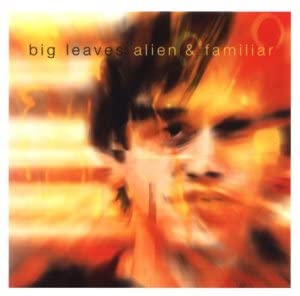 Big Leaves - Alien & Familiar - CD