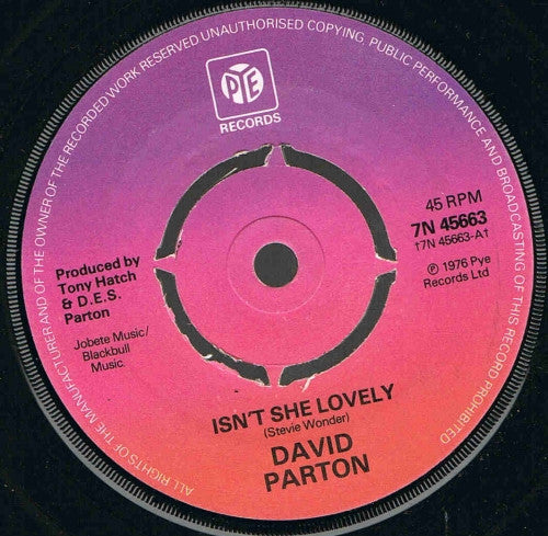 David Parton - Isn't She Lovely - Used Vinyl Record 7"