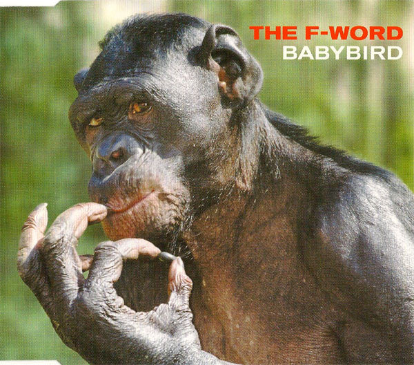 Babybird - F-Word - Used CD