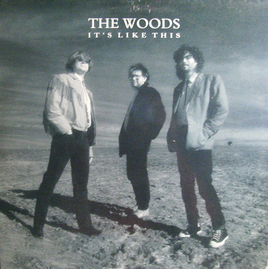 Woods - It's Like This - Used Vinyl Record