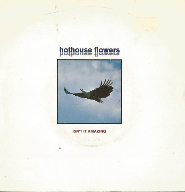 Hothouse Flowers - Isn't It Amazing - Used Vinyl Record 7"