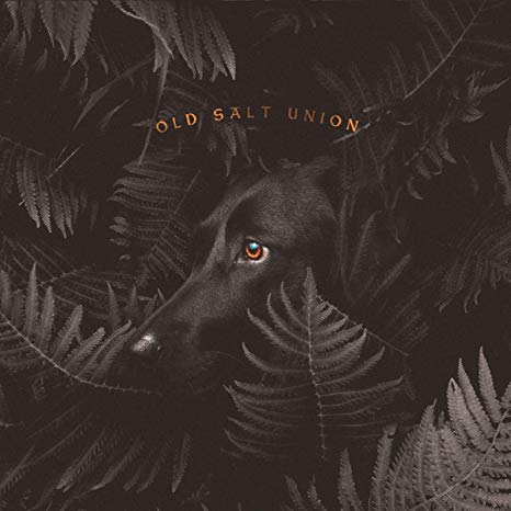 Old Salt Union - Where the Dogs Dont Bite - CD