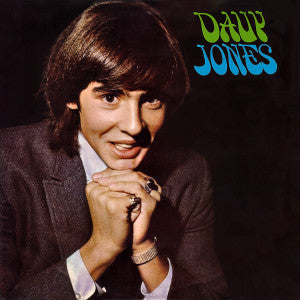 Davy Jones - Used Vinyl Record