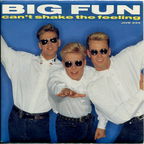 Big Fun - Can't Shake The Feeling - Used Vinyl Record 7"