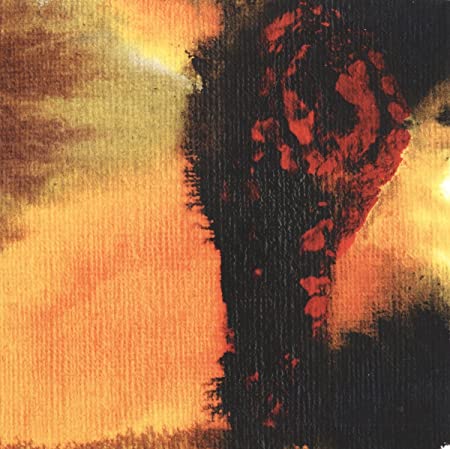 Polar Bear - Same As You - Used CD