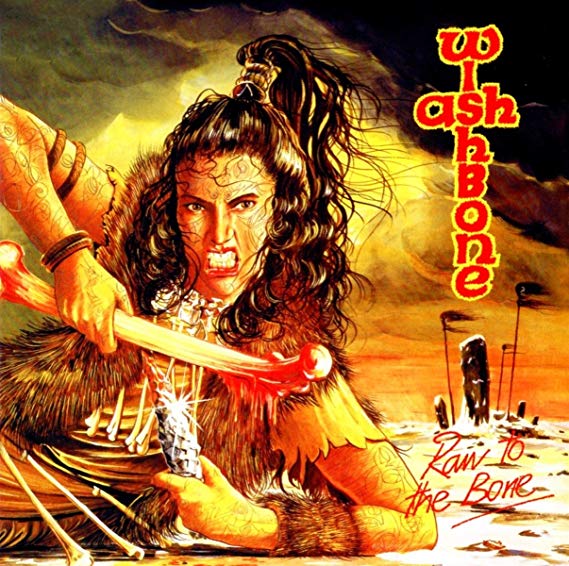 Wishbone Ash - Raw To The Bone - CD