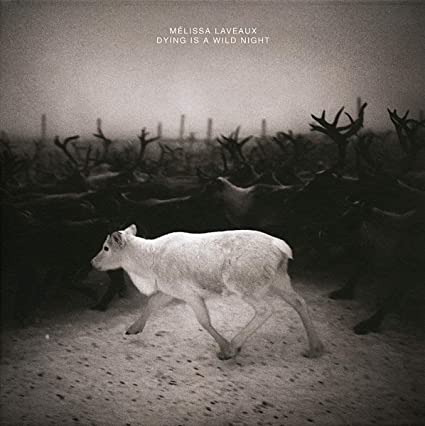 Melissa Laveaux - Dying Is A Wild Night - Vinyl Record