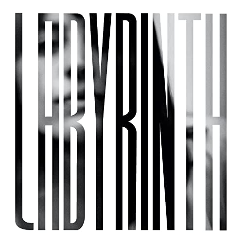HEATHER WOODS BRODER - LABYRINTH - Vinyl Record vl