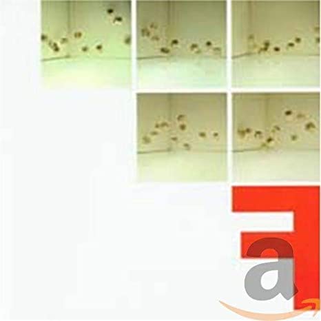 Fontanelle - F - New CD