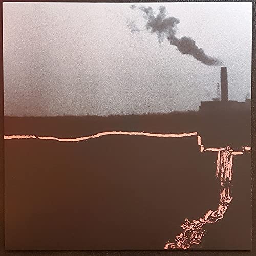 GOODBYE SUIT - WITHIN WALLS WITHOUT WINDOWS - Vinyl Record