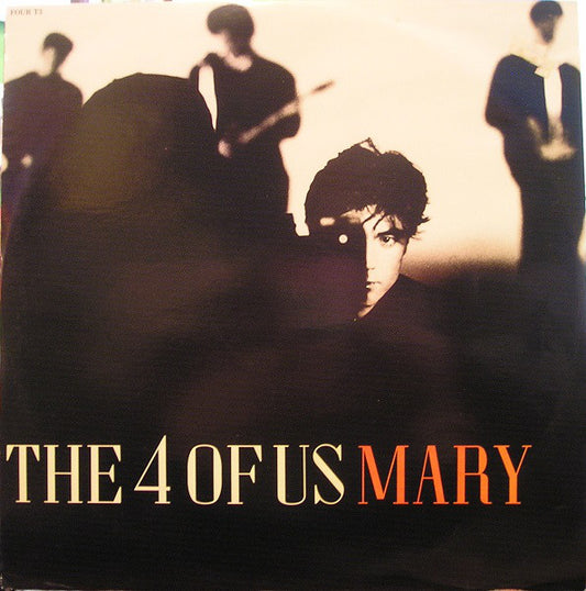 4 Of Us - Mary - Used Vinyl Record 12"